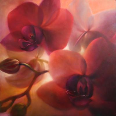 Orchideen, rotviolett - Annette Schmucker - Array auf Array - Array - Array