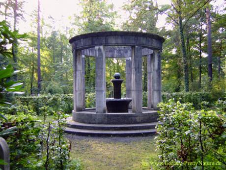 Verwunschener Brunnen im Park - Petra PStarosky -  auf  - Array - 