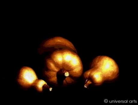 Pumpkins von Mario Strack - Galerie Studio    universal arts -  auf  - Array - 