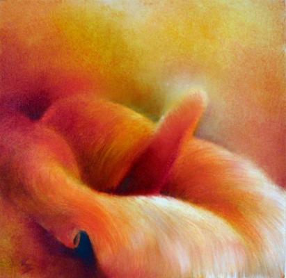 Rote Calla - Annette Schmucker -  auf Array - Array - 