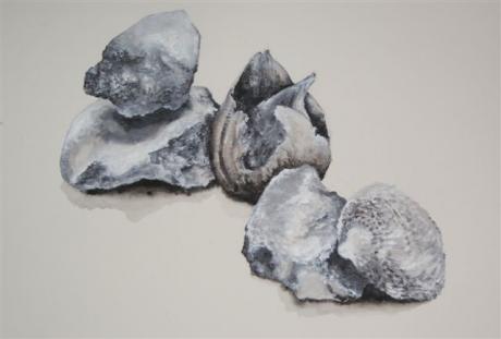 Stones, Coral and Shell -  Elena Gratzer - Array auf Array - Array - 