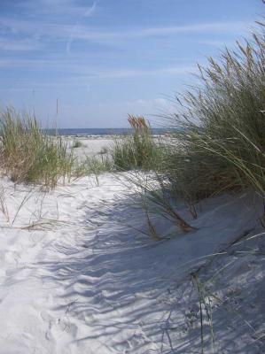 Am Meer -  A.Tschiersch -  auf Array - Array - 