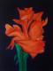 rose -  bertram - Acryl auf Leinwand - Sonstiges-Rosen - 