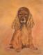 Cockerspaniel - Martina Heinisch - Pastell auf  - Sonstiges - 