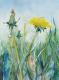 Sommerwiese (2008) -  Hanka & Frank Koebsch - Aquarell auf Papier - Sonstiges - 