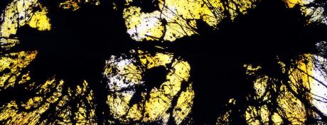 PRO 1 - Rüdiger Sauerhammer - Array auf Array - Array - Array