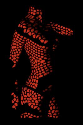 dragon - Oliver Plath -  auf  - Array - 