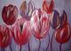 Tulpen uit Amsterdam IV - Aleksandra Schoenfeld - Acryl auf Leinwand - Fantastisch-Blumen-Hoffnung-Liebe - 