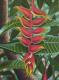 Heliconia - Claudia Diaz - Ãl auf Leinwand - Blumen-Wald - Figuration-Fotorealismus-Realismus