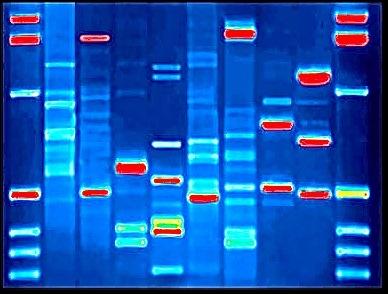 Neues Kunstwerk - Markus Wille -  auf  -  - 