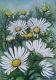 ---Kamille - Elisabeth Willner - Acryl auf Leinwand - Blumen - Naturalismus