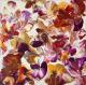 Wild Flowers - Katja Helms - Acryl auf Leinwand -  - Abstrakt
